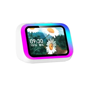 Smart Speaker Voice Assistant Portable BT Speaker